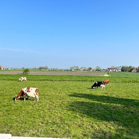 Вілла Beach Bungalow Green Мідделкерке Екстер'єр фото