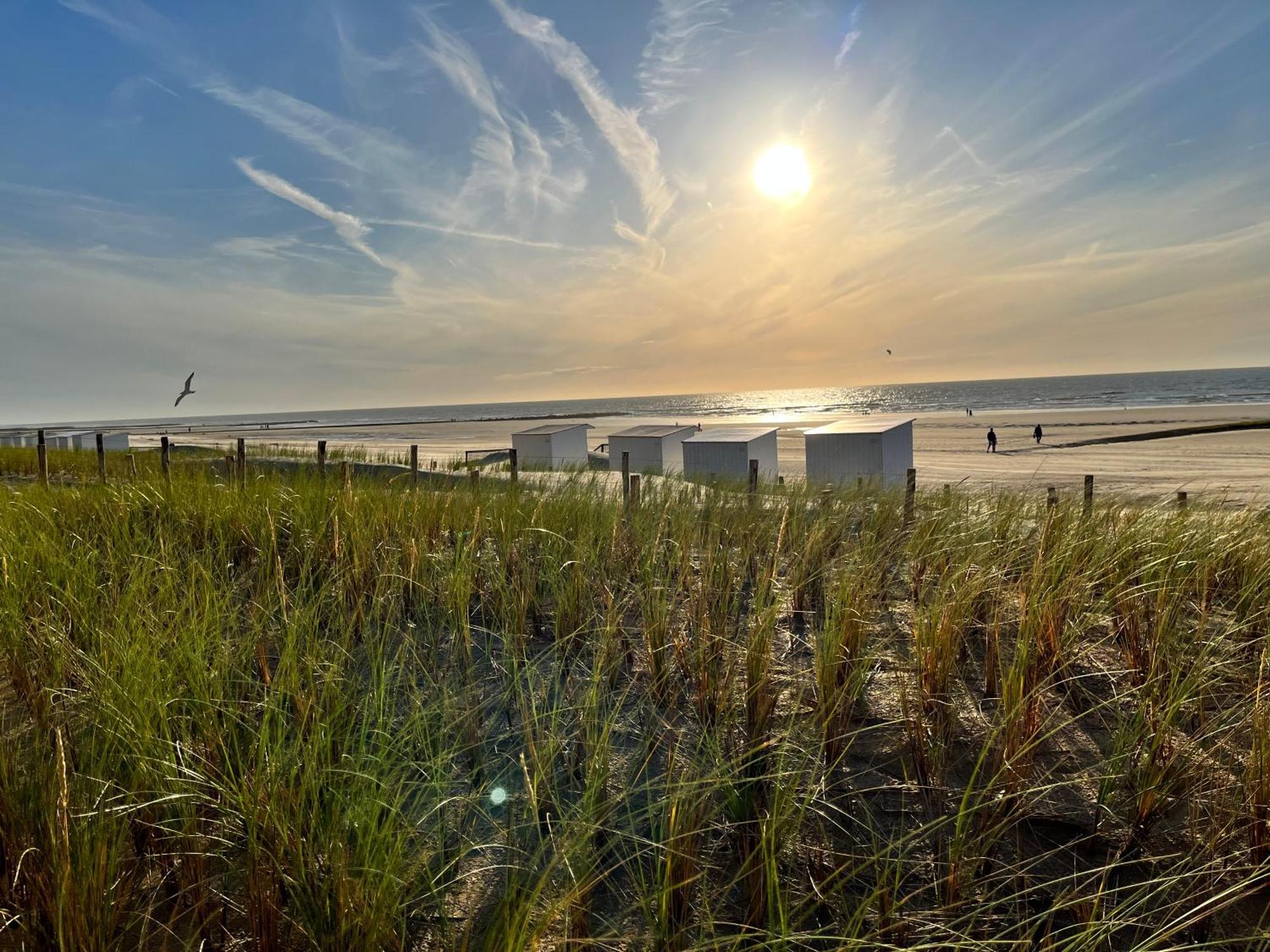 Вілла Beach Bungalow Green Мідделкерке Екстер'єр фото